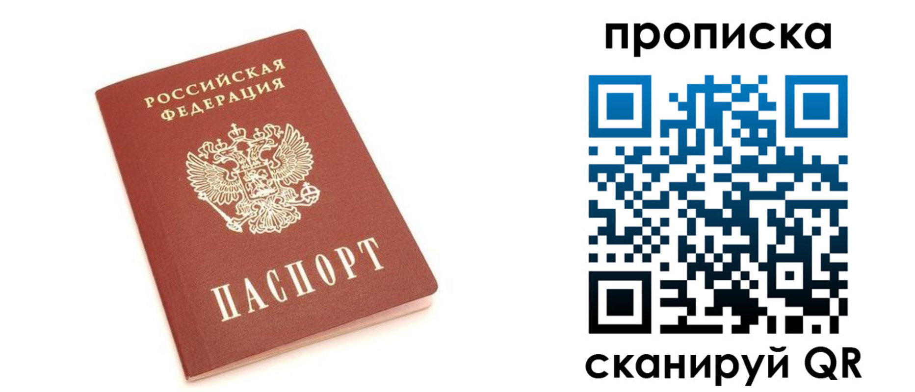 прописка 2025 в Ермолино
